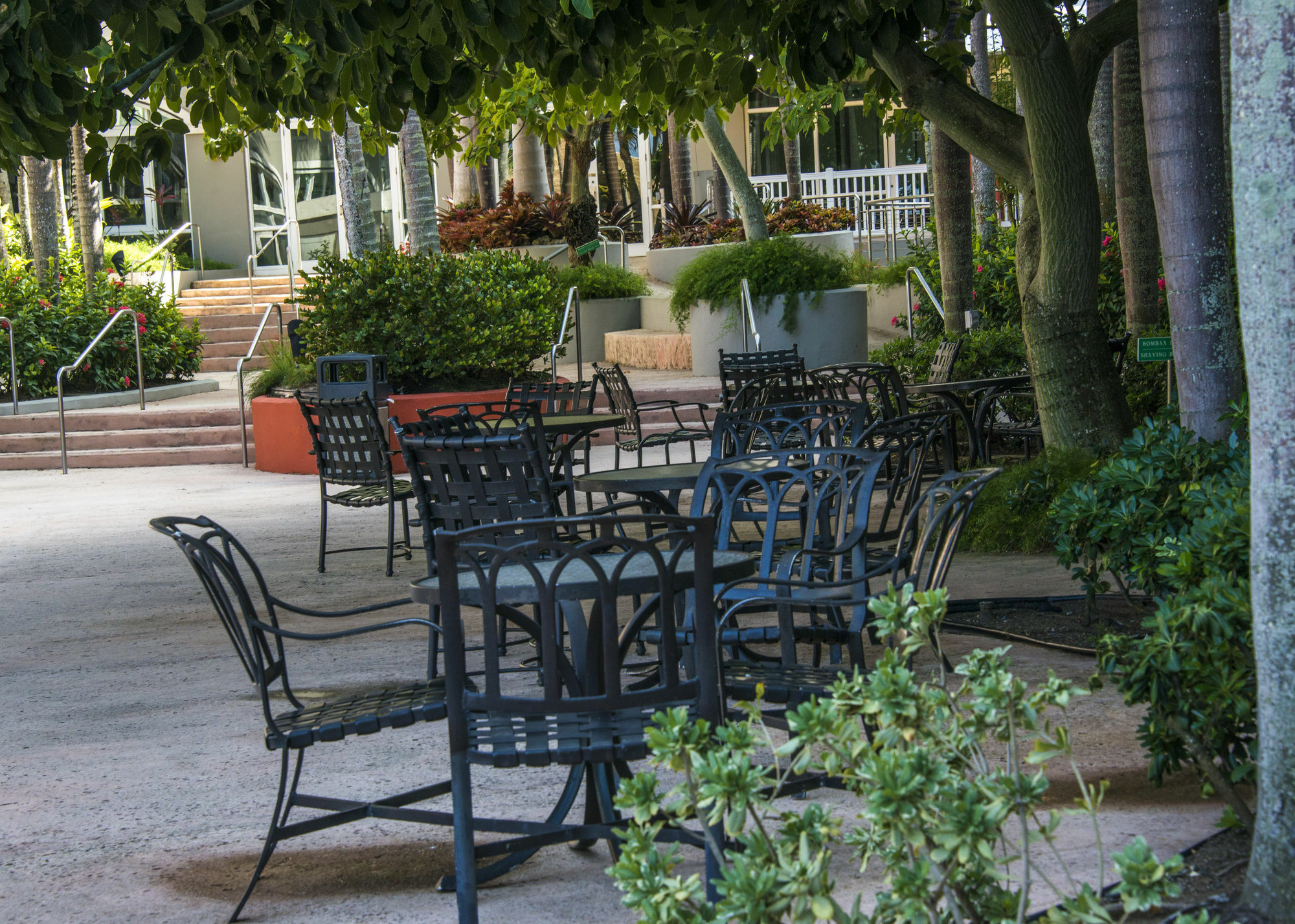 Aquarius Vacation Club At Dorado Del Mar Hotel Luaran gambar